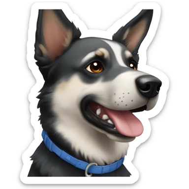 Black and white German Shepard and blue heeler mix sticker