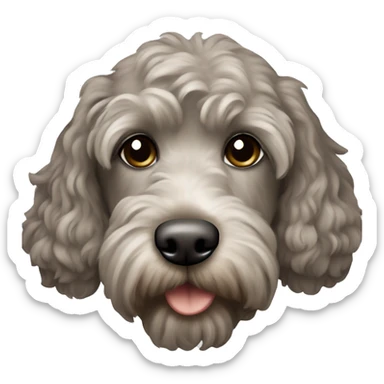 a cockapoo that’s brownish grey sticker