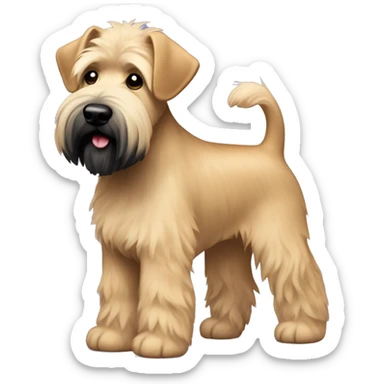 Wheaten terrier with a fluffy puppy haircut and black ears and chin sticker