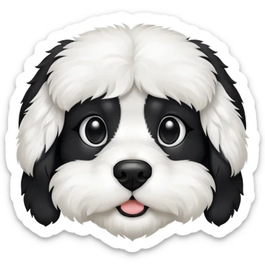 A black and white cavaton (cavalier King Charles spaniel and coton de Tulear) dog with black from his ears to around his eyes and white around his mouth and nose  sticker
