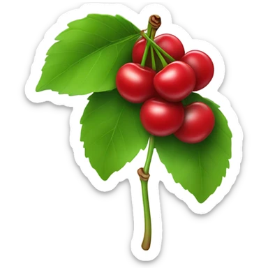 Cherries on a stem sticker