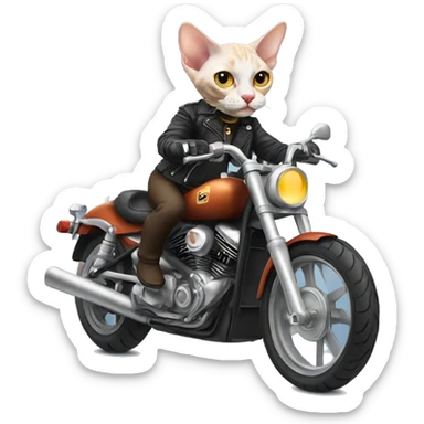 Devon Rex cat riding a Harley  sticker