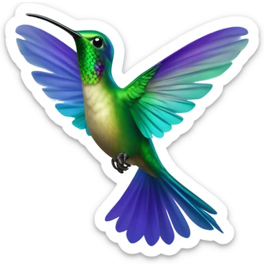 Colibri sticker