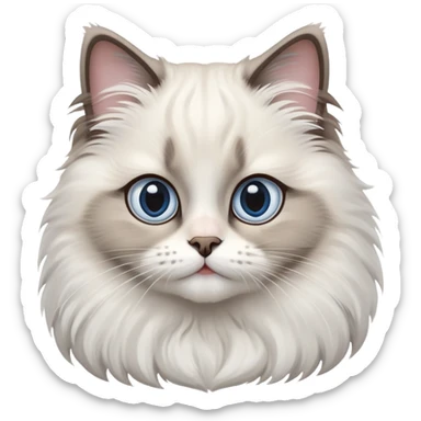 cinematic-adorable-big-eyed-fluffy-ragdoll-cat-portrait-emoji,-head-tilted-playfully-with-a-sweet-expression,-fluffy-white and grey-fur,-simplified-yet-irresistibly-cute-features-with-large,-expression, Large blue eyes sticker