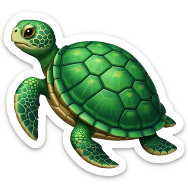 Turtle sticker