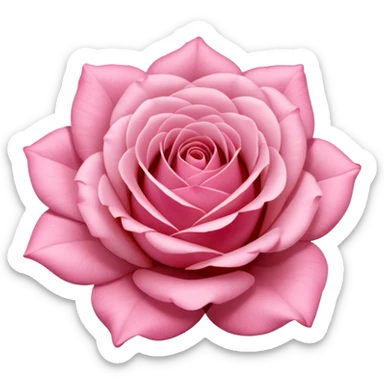 Polaroid photo of a pink rose  sticker