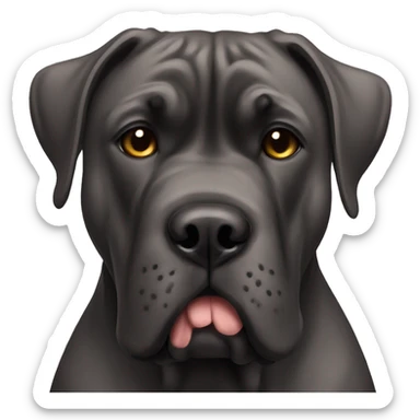 Cane corso sticker