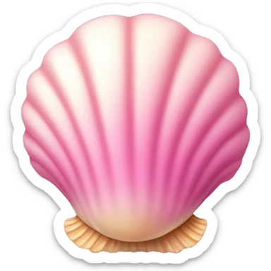 Shell with pink sticker
