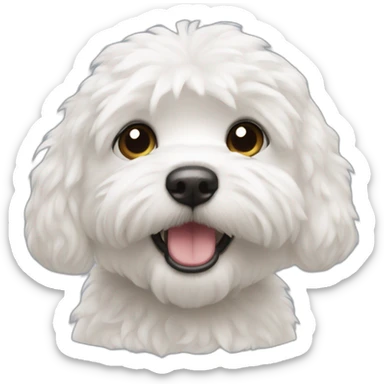 Bichón maltés sticker