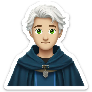 16 year old boy, white hair, green eyes, scar on right eye in ravenclaw hogwarts robes. sticker