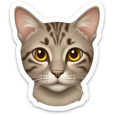 Tabby grayish brown cat with beige mouth and dark nose and orange golden eyes sticker
