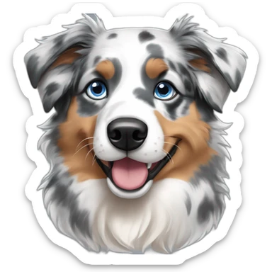 blue merle australian shepherd one blue eye sticker