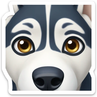 Husky with one eye blue and one eye brown and blue sticker