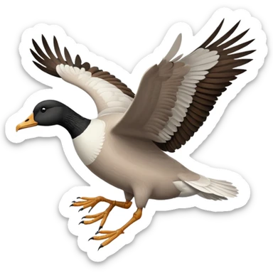 wild goose in flight, with black neck, black feet, brown wings, black-and-white head, white belly sticker