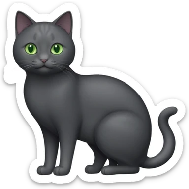 full body completely solid dark grey cat with green eyes and white paws sticker