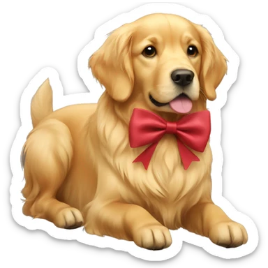 golden retriever with a bow sticker