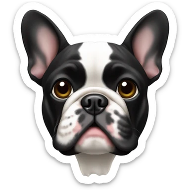 black French Bulldog, featuring the right ear folded forward  sticker