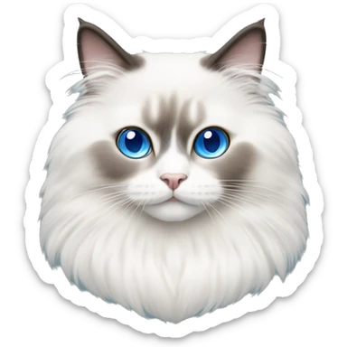 Ragdoll cat with blue eyes and white face with fluffy fir sticker