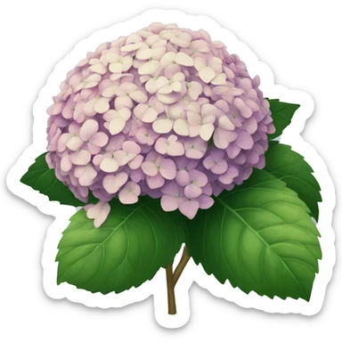 Hydrangea bush sticker