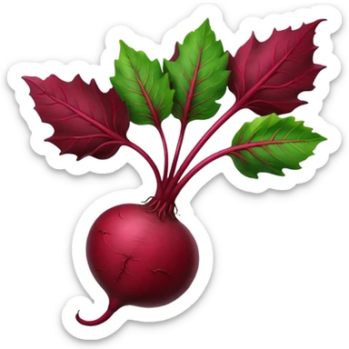 whole beet with a long green leaf stem, no bottom root sticker