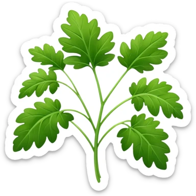 Cilantro  sticker
