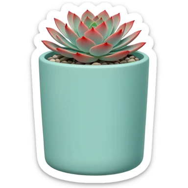 A ceramic pot in a pastel turquoise color, shaped like a cylinder, the pot is tall and contains an Echeveria 'Painted Nodulosa' plant. sticker