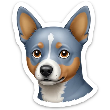 Australian heeler sticker