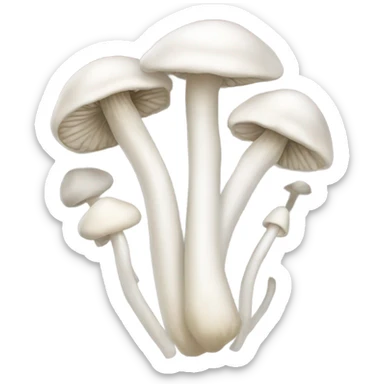 Bundle of white mushroom with long&thin stem and very small cap sticker