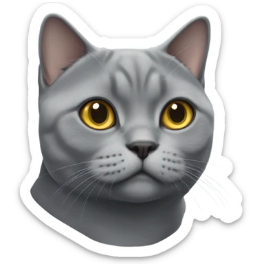 A Grey british shorthair cat sticker