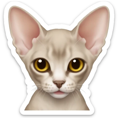 Devon Rex mink color sticker