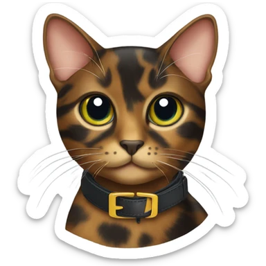 tortoiseshell cat with cat collar  sticker
