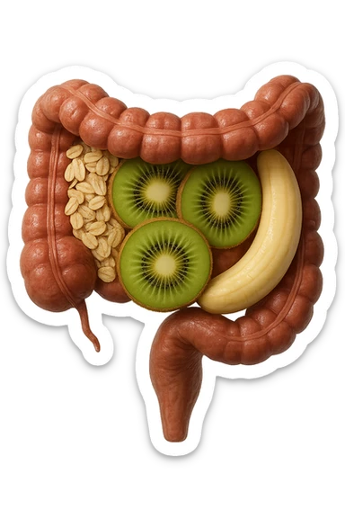 avena, kiwi e banana all'interno di un colon umano anatomico realistico, iperrealistico 4k sticker
