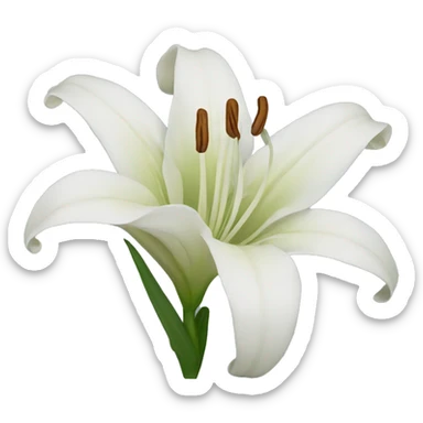 Lily sticker