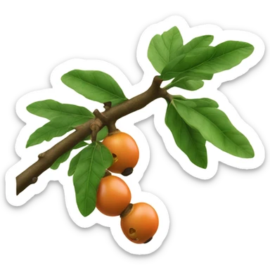 ripe guarana on branch sticker