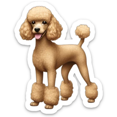 Dog Standart Poodle full body sticker