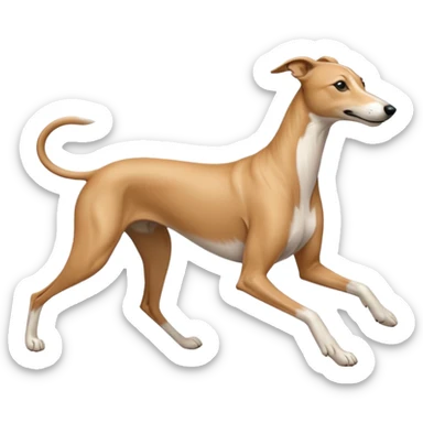 Greyhound running linear sticker