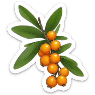 a sprig of sea buckthorn sticker