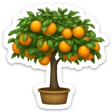 Orange tree sticker