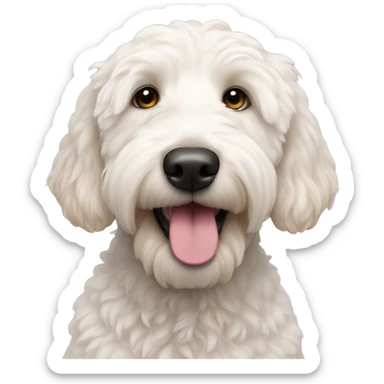 White golden doodle with pink nose sticker