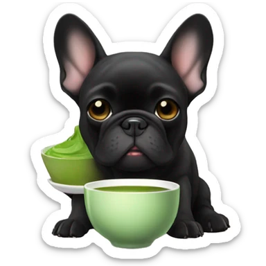 All black French bulldog drinking matcha tea sticker