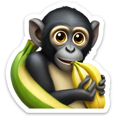 Spider monkey eating banana  sticker