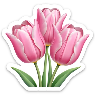 beautiful pastel pink tulips sticker
