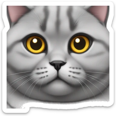 Fat grey Scottish fold cat funny sticker