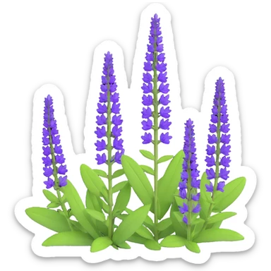 3D iOS cartoon icon of Salvia nemorosa with vertical purple flower spikes, green leaves, expressive volume, cartoon proportions, transparent background sticker
