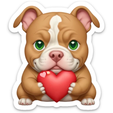 Tan and white American xl bully with green eyes and stocky head cropped ears Holding a heart sticker