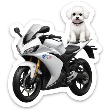 Maltese riding all white Yamaha-r3 sticker
