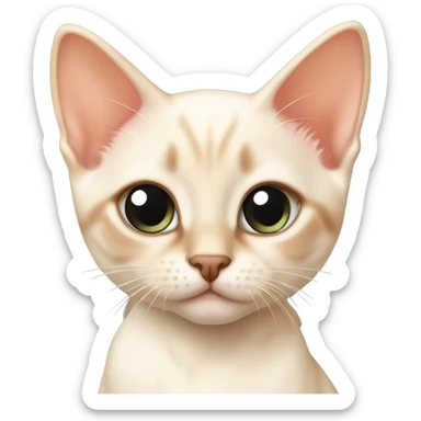 Flame point Siamese kitten sticker