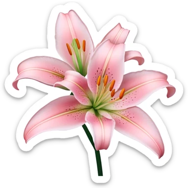 two Light pink lilly  sticker