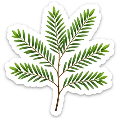 Melaleuca alternifolia
 sticker