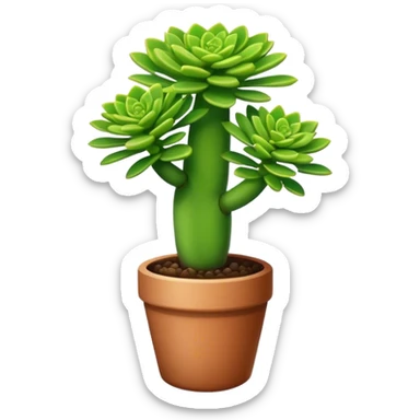 Crassula Ovata Golum with cilindric leaves sticker